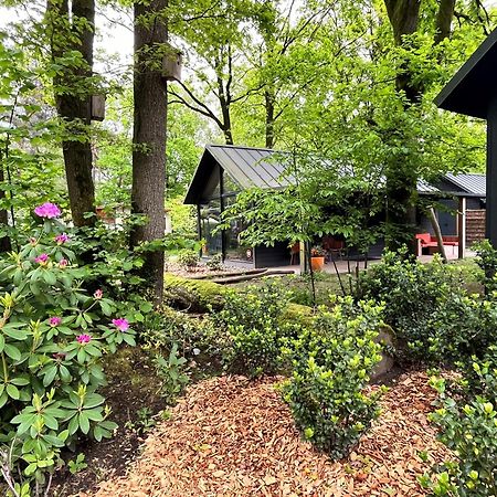 Cosy Tiny Lodges - Vakantiepark Kempenbos Diessen Dış mekan fotoğraf