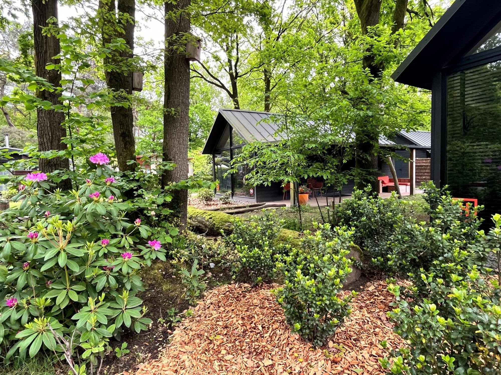 Cosy Tiny Lodges - Vakantiepark Kempenbos Diessen Dış mekan fotoğraf